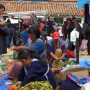 Study Abroad Reviews for Spanish Abroad, Inc: Spanish Schools in Bolivia