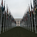 Boston University: Geneva - Internship Program Photo