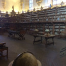IES Abroad: Salamanca - IES Abroad in Salamanca Photo