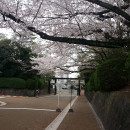 IES Abroad: Nagoya - Nanzan University Photo