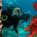 Study Abroad Reviews for Broadreach: Traveling - Bali & Lombok Advanced Scuba
