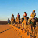 Study Abroad Reviews for Broadreach: Multiple - Spain & Morocco Multimedia Studies