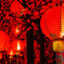 Study Abroad Reviews for NYU Steinhardt: Hong Kong & Shanghai - Intercultural Perspectives on Teaching and Learning