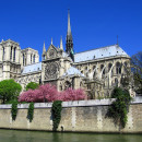 Study Abroad Reviews for Stephen F. Austin State University (SFA): The French Mystique - The Architecture, Gardens, and Culinary Delights of France