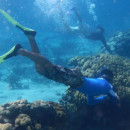 Study Abroad Reviews for Earthwatch: The Bahamas - Better in the Bahamas: Making Marine Reserves Work