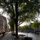 Study Abroad Reviews for The Experiment: The Netherlands - Dutch Culture and LGBTQ Rights