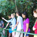 Study Abroad Reviews for Associated Colleges of the Midwest (ACM): Costa Rica - Field Research in the Environment, Social Sciences, & Humanities