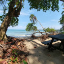 SIT Study Abroad: Panama - Tropical Ecology, Marine Ecosystems, and Biodiversity Conservation Photo