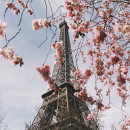 Study Abroad Reviews for IES Abroad: Paris – Studio Art, Dance & Music