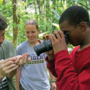 Study Abroad Reviews for Organization for Tropical Studies (OTS): San Jose - Tropical Biology on a Changing Planet