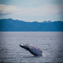 Study Abroad Programs in Costa Rica Photo