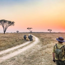 Study Abroad Reviews for Conservation Travel Africa: Zimbabwe - Nature Enthusiast Course