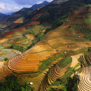 Study Abroad Reviews for Borromini Institute: Ho Chi Minh City - Critical Studies On Food Systems and Sustainability