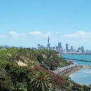 Study Abroad Reviews for Boston University: Auckland - Internship Program