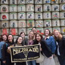 Study Abroad Reviews for University of Colorado Colorado Springs: Business Studies in Japan, Hosted by the Asia