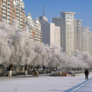 Study Abroad Reviews for Samford University: Jilin- Samford in Jilin, China