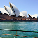 Study Abroad Reviews for Boston University: Sydney - Internship Program, Summer