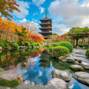 Study Abroad Reviews for NRCSA: Kyoto - Kyoto International Center