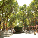 Wellesley College: Aix-en-Provence - Wellesley-in-Aix