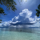 SIT Study Abroad: Panama - Tropical Ecology, Marine Ecosystems, and Biodiversity Conservation Photo