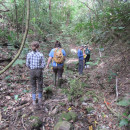 SIT Study Abroad: Panama - Tropical Ecology, Marine Ecosystems, and Biodiversity Conservation Photo
