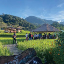 Study Abroad Reviews for University of Minnesota: MSID - Health in Thailand