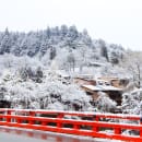 Study Abroad Reviews for CIEE: January in Kyoto
