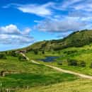 Study Abroad Reviews for CIEE: Monteverde - Ecology + Sustainability