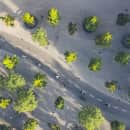 Study Abroad Reviews for CIEE: Copenhagen - Ecology + Sustainability