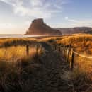 Study Abroad Reviews for CIEE: Auckland - Arts & Sciences (University of Auckland)
