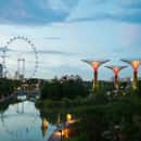 Study Abroad Reviews for CIEE: Singapore - Semester Global Internship