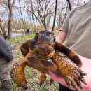 Study Abroad Reviews for University of Northern Iowa: Field Biology on the Galapagos