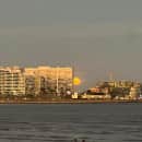 Middlebury Schools Abroad: Middlebury in Montevideo Photo