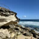 University of Sydney: Sydney - Direct Enrollment & Exchange Photo