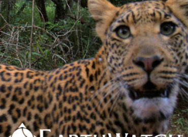 Study Abroad Reviews for Earthwatch: South Africa - Leopards, Hyenas and Primates: Mammal Conservation in South Africa