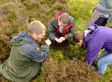 Study Abroad Reviews for Adelante: Edinburgh - Ecological Conservation Summer Program in Scotland