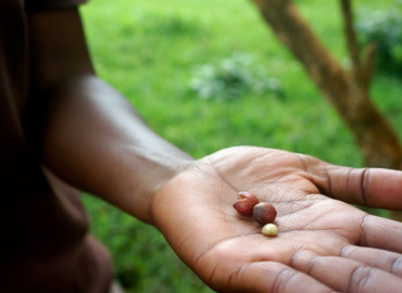 Study Abroad Reviews for Child Family Health International (CFHI): Nutrition, Food Security & Sustainable Agriculture