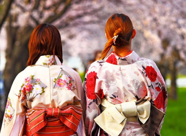 Study Abroad Reviews for WorldStrides Study Abroad in Japan