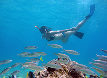 Study Abroad Reviews for Ailola Lingua: Galapagos Islands - Spanish Language & Volunteer Programs in Galapagos Islands