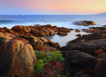 Study Abroad Reviews for CETUSA - High School Study Abroad in Australia