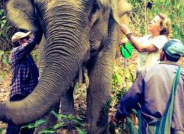 Study Abroad Reviews for GVI: Chiang Mai & Phang Nga - Study, Teach, Volunteer & Internship Programs in Thailand