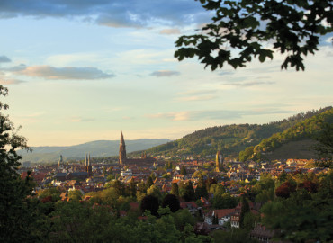 Study Abroad Reviews for University of Freiburg: Freiburg - Summer University Program