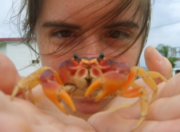 Study Abroad Reviews for Broadreach: San Salvador - Bahamas Marine Biology