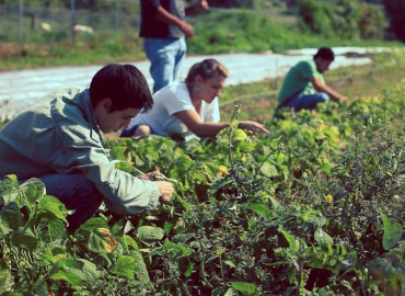 Study Abroad Reviews for International Volunteer HQ (IVHQ): Volunteer in Mexico