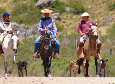 Study Abroad Reviews for United Planet: Volunteer Abroad in Argentina - 6 or 12 months 