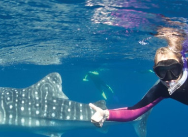 Study Abroad Reviews for AIFS: Travel Program – Tropical Marine Biology in Australia