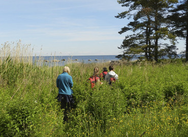 Study Abroad Reviews for Youth For Understanding (YFU): YFU Programs in Estonia