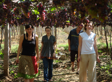 Study Abroad Reviews for IISAC: Summer In Kerala