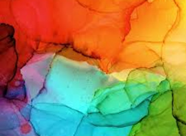 Study Abroad Reviews for SIT Study Abroad: Netherlands - Virtual Internship in Sexuality and Gender