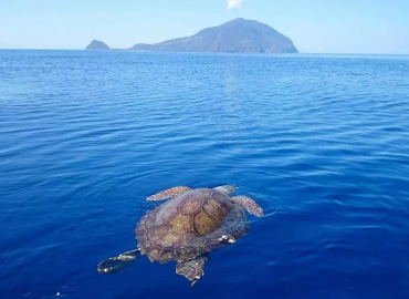 Study Abroad Reviews for Syracuse Academy: Environment & Biodiversity